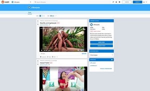 screenshot at www.reddit.com porn tube site