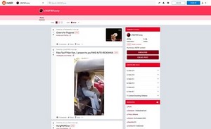 screenshot at www.reddit.com porn tube site